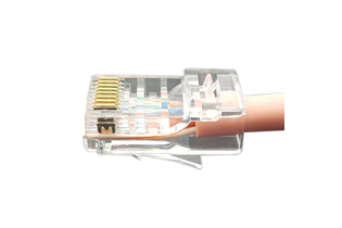 PLEZ-8P8C-U-C6-100