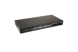 SW-24G4X-2L
