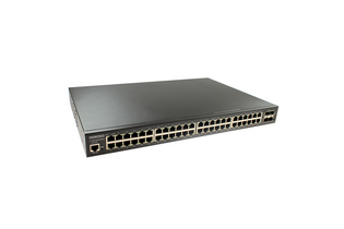SW-48G4X-L2